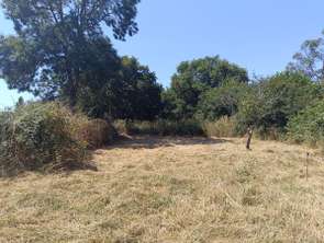Vente Terrain 1673 m&sup2;Saint-Joachim