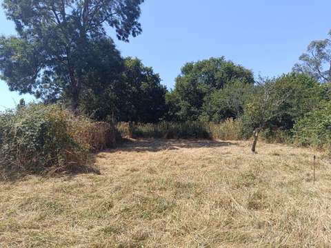 Vente de terrain Saint-Joachim 44