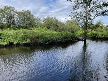 Vente de terrain Saint-Joachim 44