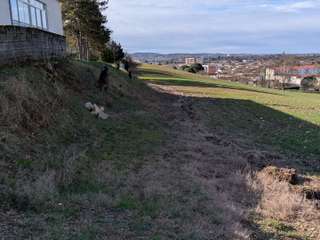 Vente de terrain