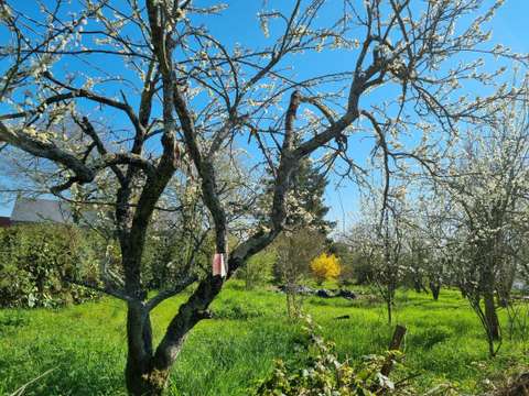 Vente de terrain