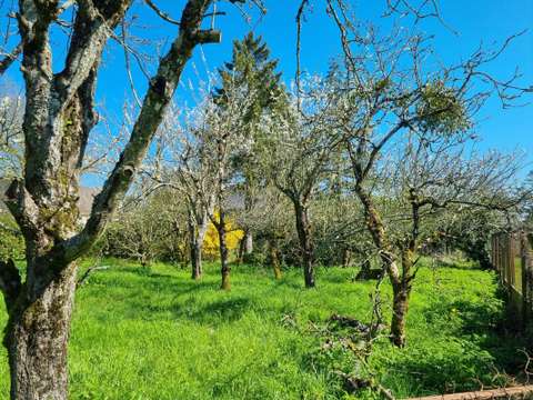 Vente de terrain
