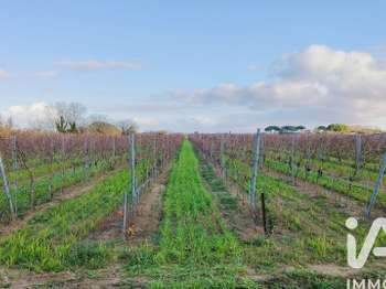 Vente Terrain 90000 m&sup2;Saint-Laurent-d'Aigouze