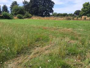 Vente Terrain 3332 m&sup2;Saint-Laurent-de-la-Plaine