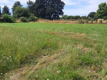 Vente de terrain Saint-Laurent-de-la-Plaine 49