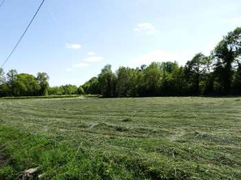 Vente de terrain