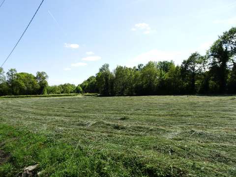 Vente de terrain