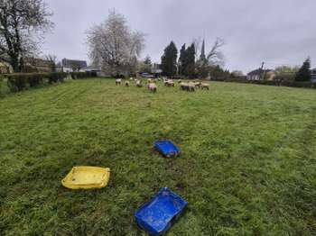 Vente de terrain