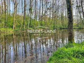 Vente Terrain 14968 m&sup2;Saint-Loup