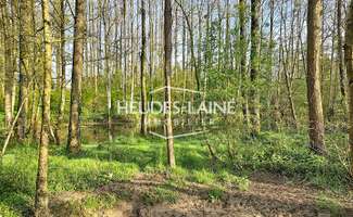 Photo Vente de terrain Saint-Loup