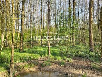 Vente de terrain Saint-Loup 50