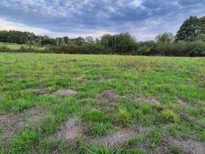 Vente Terrain 7470 m&sup2;Saint-Lumine-de-Clisson