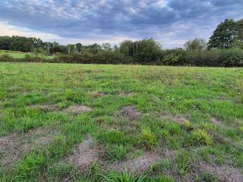 Vente de terrain Saint-Lumine-de-Clisson 44