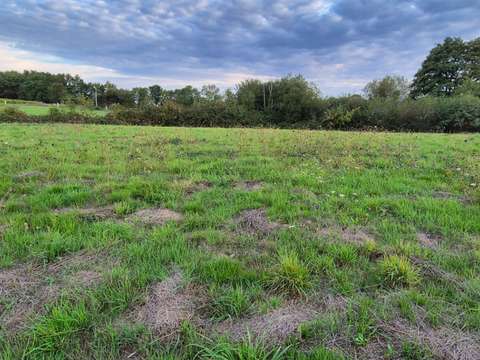 Vente de terrain Saint-Lumine-de-Clisson 44