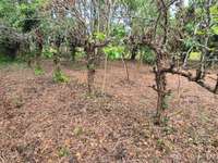 Vente de terrain