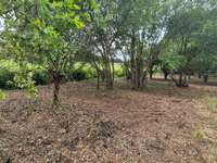 Vente de terrain