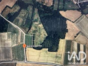 Vente Terrain 7264 m&sup2;Saint-Lumine-de-Clisson