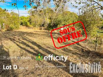 Vente de terrain Saint-Lumine-de-Coutais 44