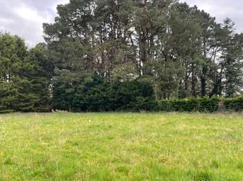 Vente de terrain Saint-Lyphard 44