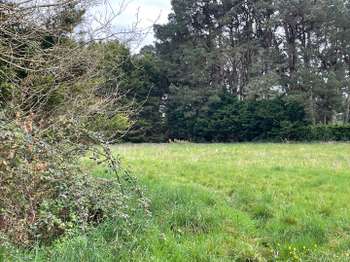 Vente de terrain Saint-Lyphard 44
