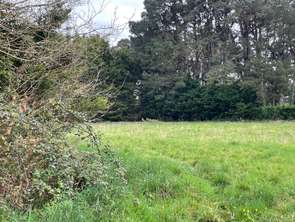 Vente Terrain 964 m&sup2;Saint-Lyphard