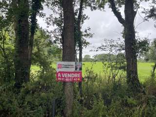 Vente de terrain