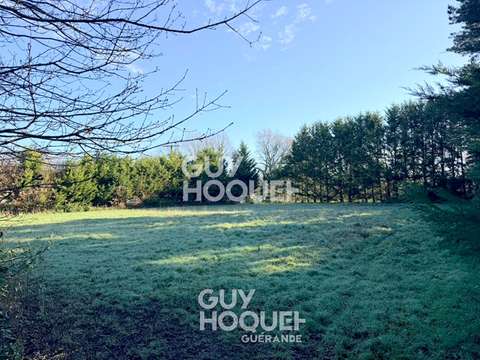 Vente de terrain Saint-Lyphard 44
