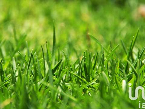 Vente de terrain Saint-Magne-de-Castillon 33