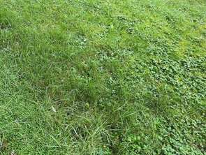 Vente Terrain 423 m&sup2;Saint-Malo