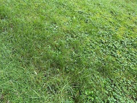 Vente de terrain Saint-Malo 35
