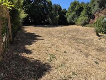 Vente de terrain