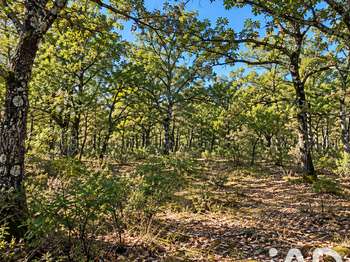 Vente de terrain Saint-Marcel-lès-Sauzet 26