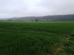 Vente Terrain 190000 m&sup2;Saint-Mard-de-Réno