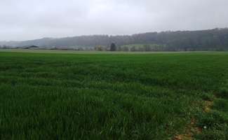 Photo Vente de terrain Saint-Mard-de-Réno