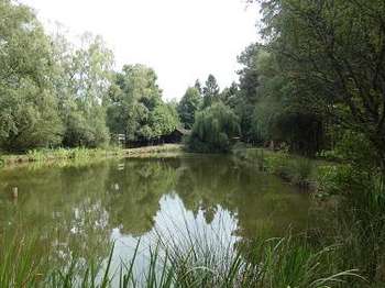 Vente Terrain 10860 m&sup2;Saint-Mars-d'Outillé
