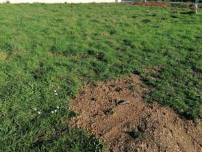 Vente Terrain 360 m&sup2;Saint-Mars-de-Coutais