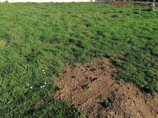 Vente de terrain