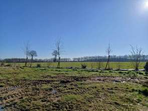 Vente Terrain 462 m&sup2;Saint-Mars-du-Désert