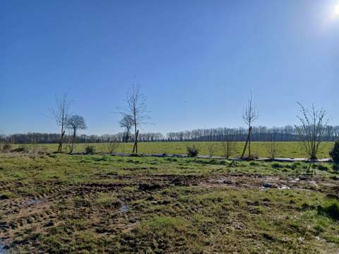 Vente de terrain Saint-Mars-du-Désert 44