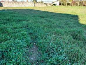 Vente Terrain 979 m&sup2;Saint-Mars-la-Jaille