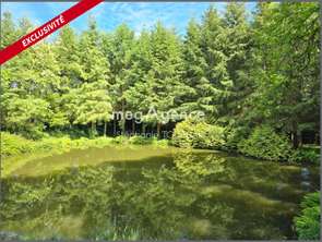Vente Terrain 30695 m&sup2;Saint-Mars-sur-la-Futaie