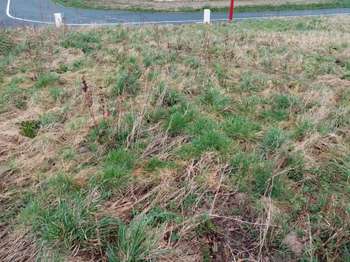 Photo Vente de terrain Saint-Martin-aux-Buneaux
