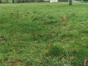 Vente Terrain 1636 m&sup2;Saint-Martin-de-Saint-Maixent