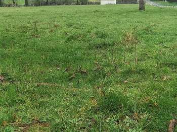 Vente de terrain Saint-Martin-de-Saint-Maixent 79