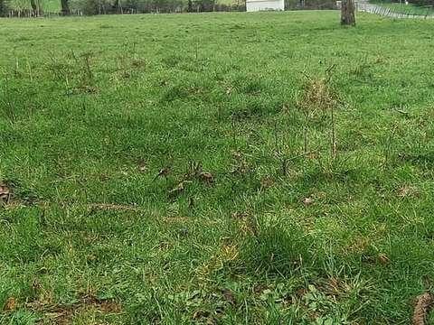 Vente de terrain Saint-Martin-de-Saint-Maixent 79