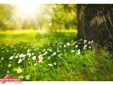 Vente de terrain Saint-Martin-de-Saint-Maixent 79