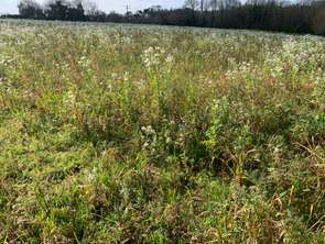 Vente Terrain 280 m&sup2;Saint-Martin-des-Champs