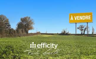 Photo Vente de terrain Saint-Martin-des-Fontaines