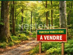 Vente Terrain 13435 m&sup2;Saint-Martin-des-Prés