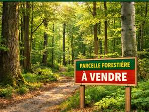 Vente Terrain 13435 m&sup2;Saint-Martin-des-Prés